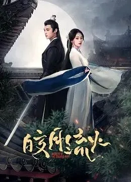 皎月流火海报