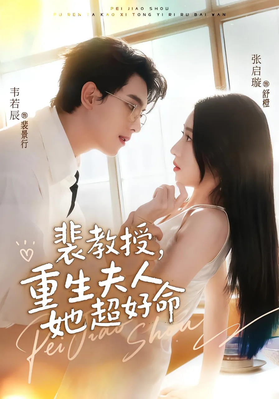 裴教授，重生夫人她超好命海报