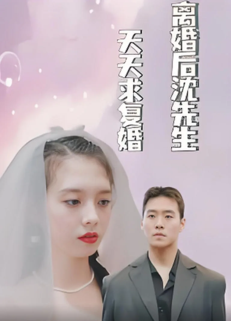 离婚后沈先生天天求复婚海报