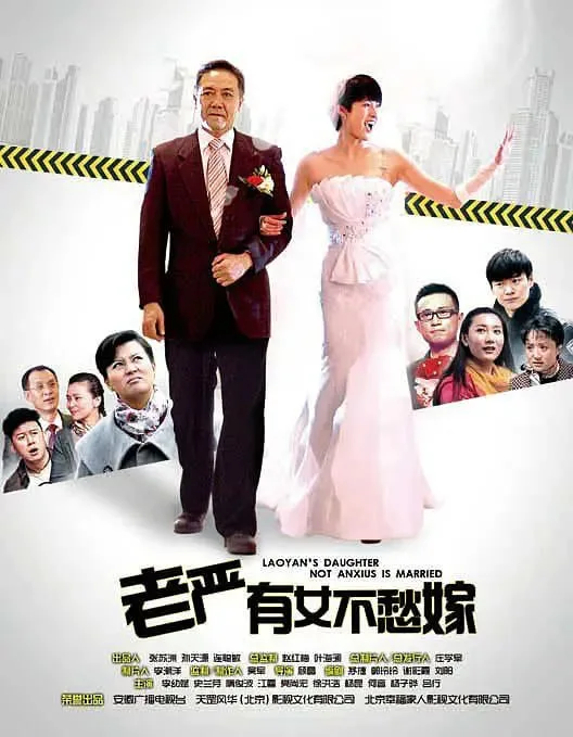 老严有女不愁嫁海报