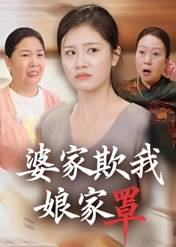 婆家欺我娘家罩海报