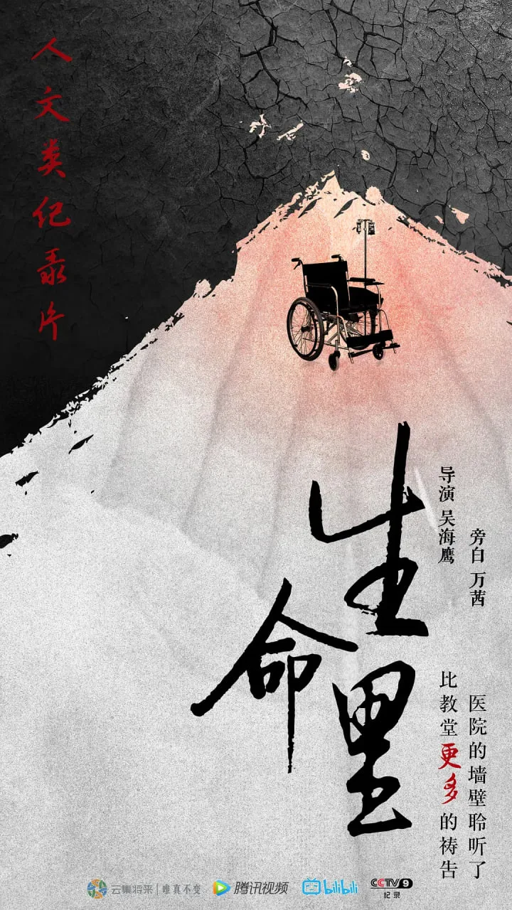 生命里海报