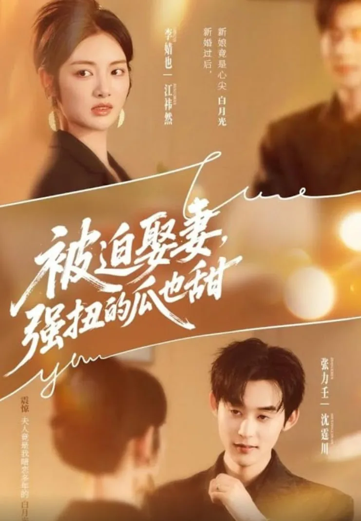 被迫娶妻强扭的瓜也甜（被迫娶妻，强扭的瓜也甜）海报