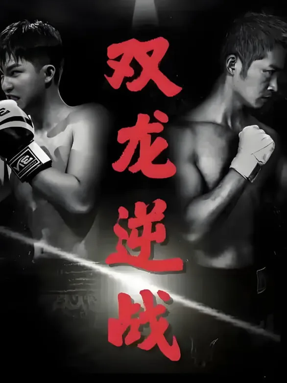 双龙逆战（拳王之父子双龙）海报