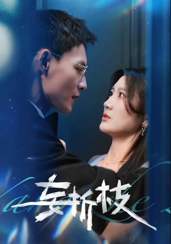 妄折枝海报