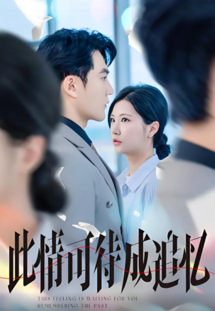 此情可待成追忆海报