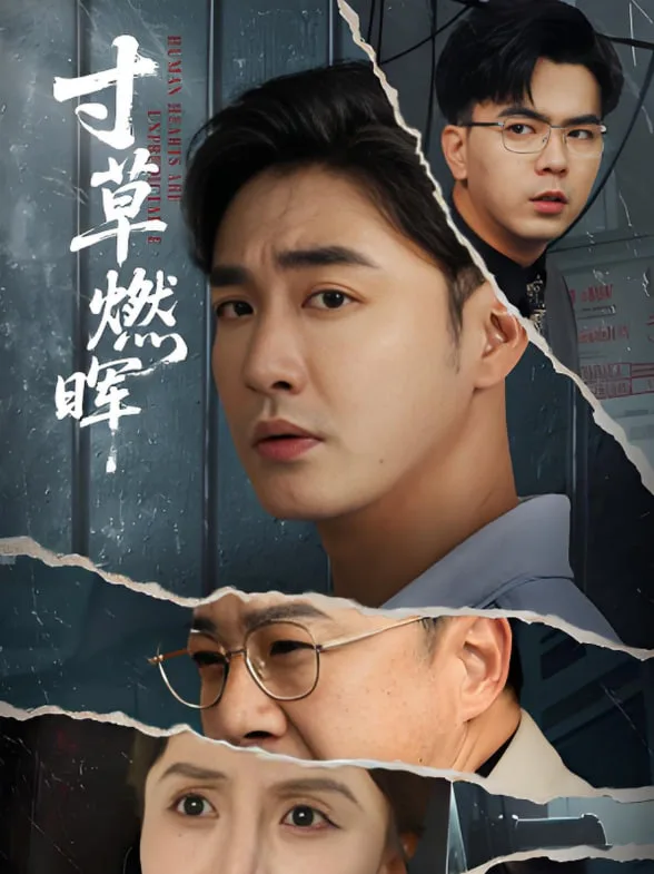 寸草燃晖海报