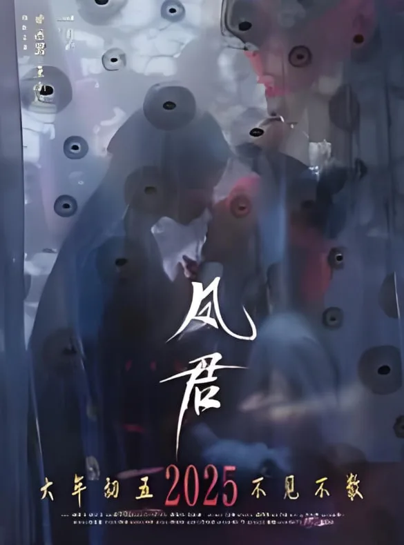 凤君海报