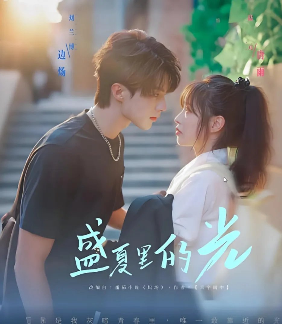 盛夏里的光海报