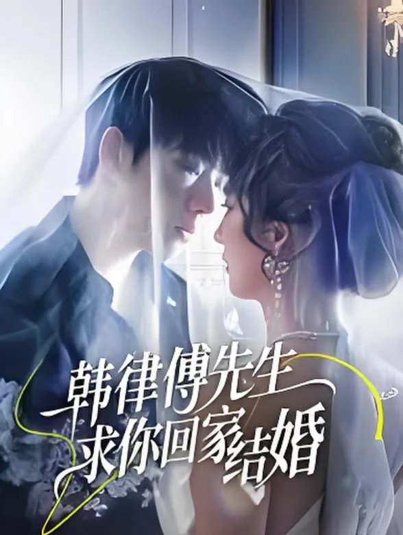 韩律傅先生求你回家结婚海报