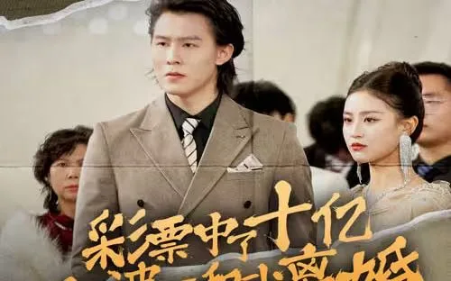 彩票中了十亿老婆要和我离婚海报