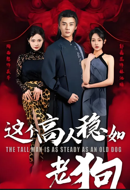 这个高人稳如老狗（这个高手稳如老狗）海报