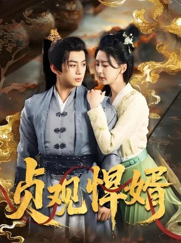 贞观悍婿海报