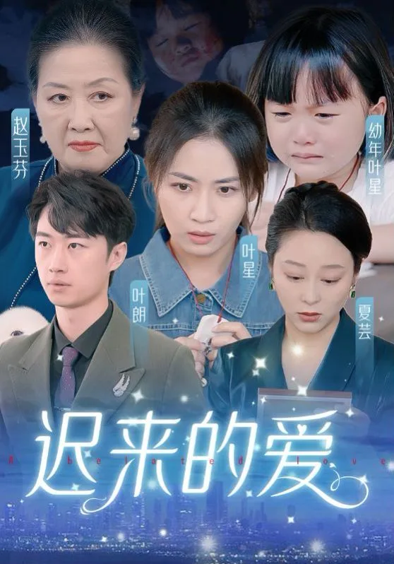 迟来的爱（天上的星星不说话）海报