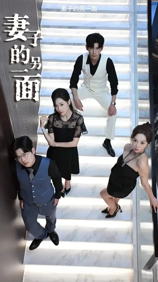妻子的另一面海报