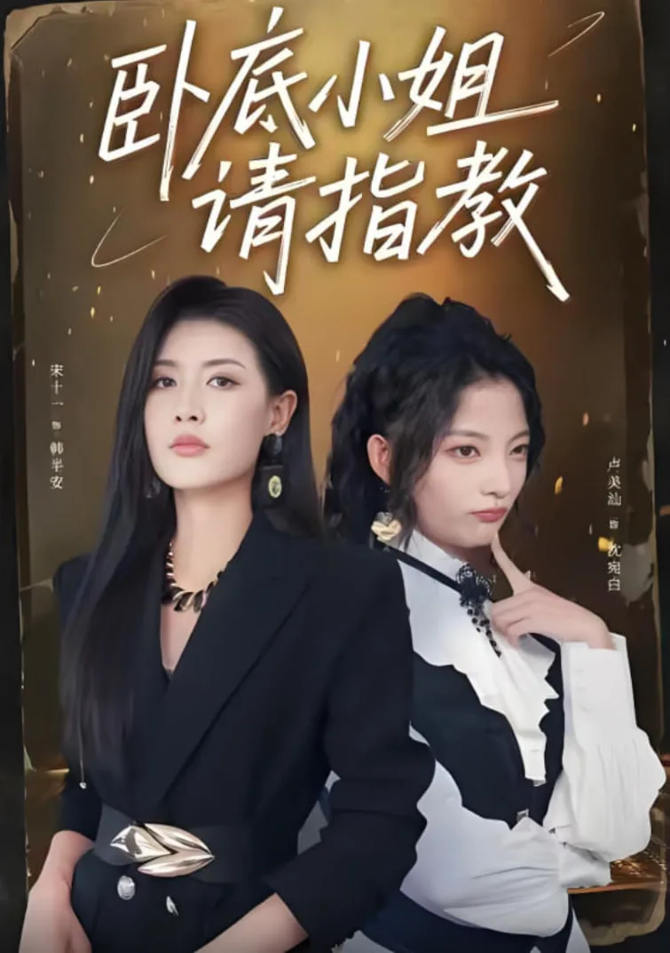 卧底小姐请指教海报