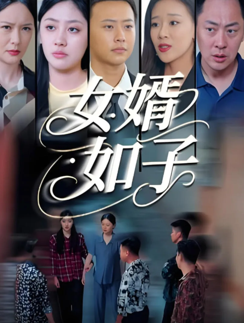 女婿如子海报