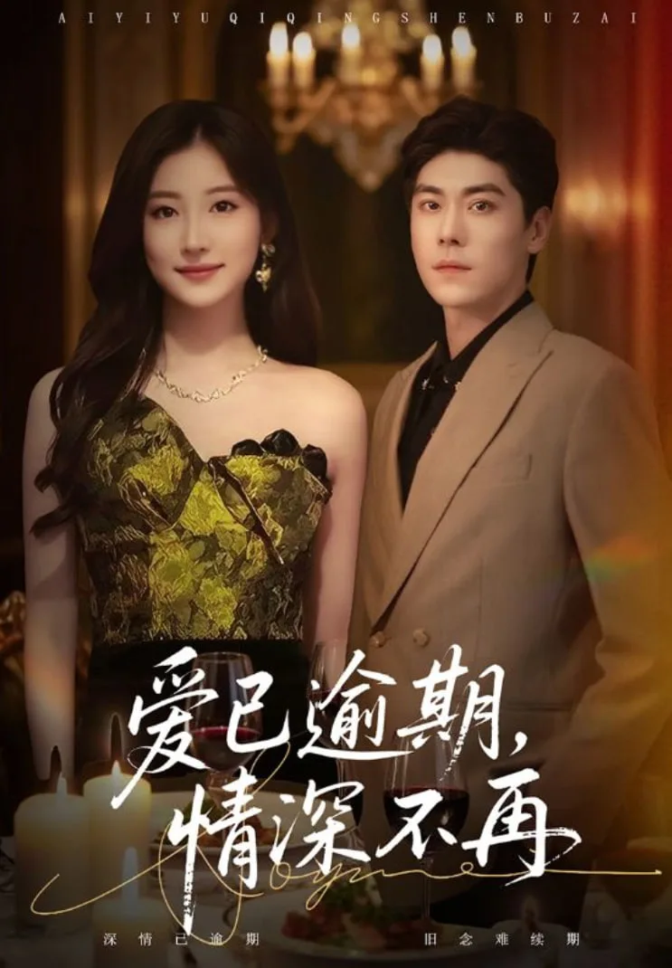 爱已逾期，情深不再海报