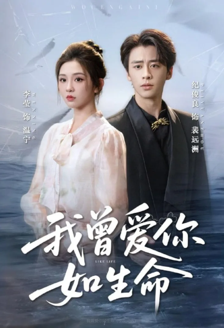 我曾爱你如生命（宁夜向远）海报