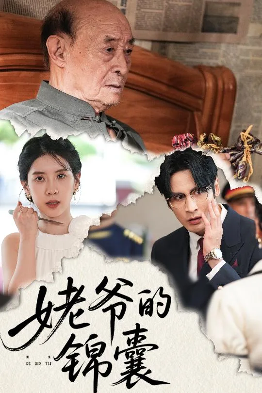 姥爷的锦囊海报