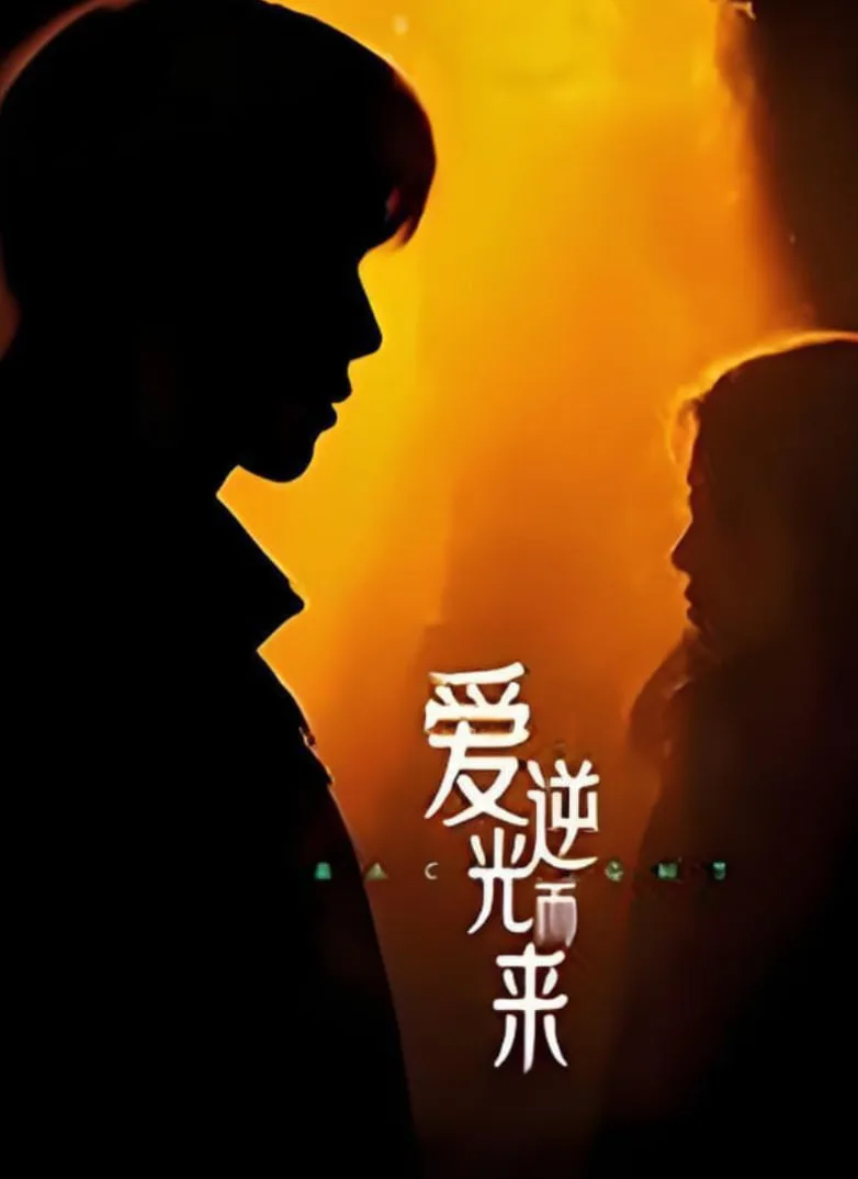 爱逆光而来海报