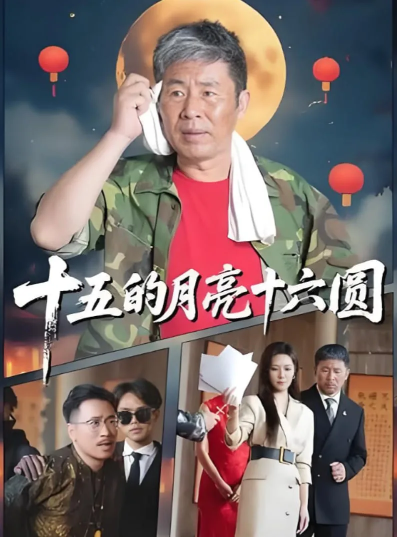 十五的月亮十六圆 2025海报