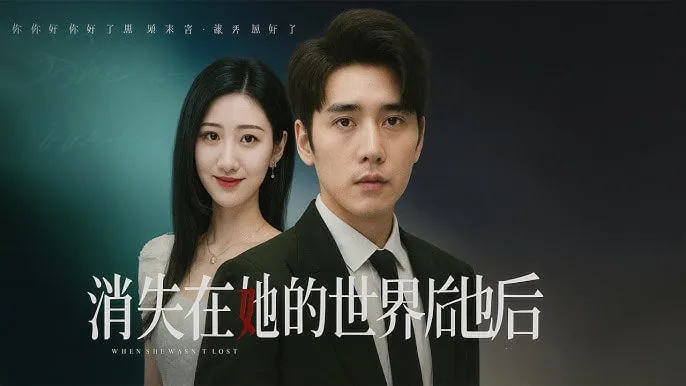 消失在她的世界后她才知道后悔海报