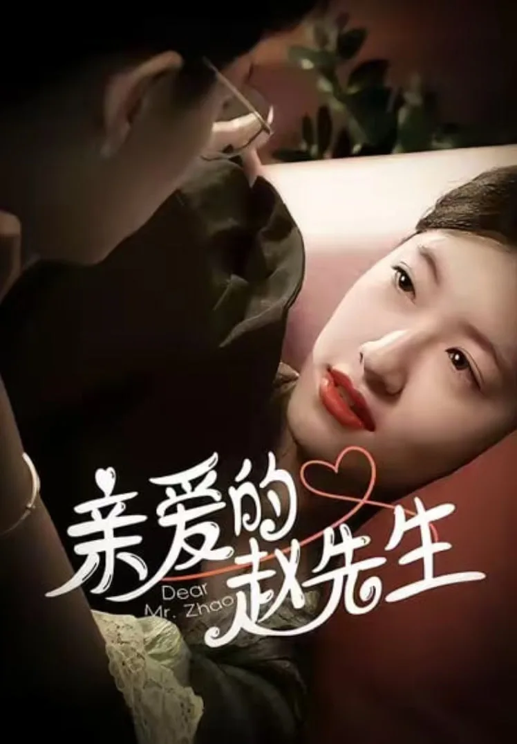 亲爱的赵先生海报