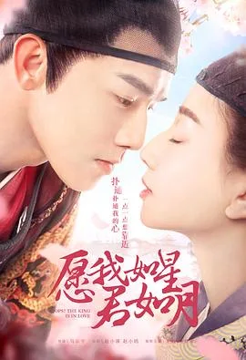 愿我如星君如月 第二季海报