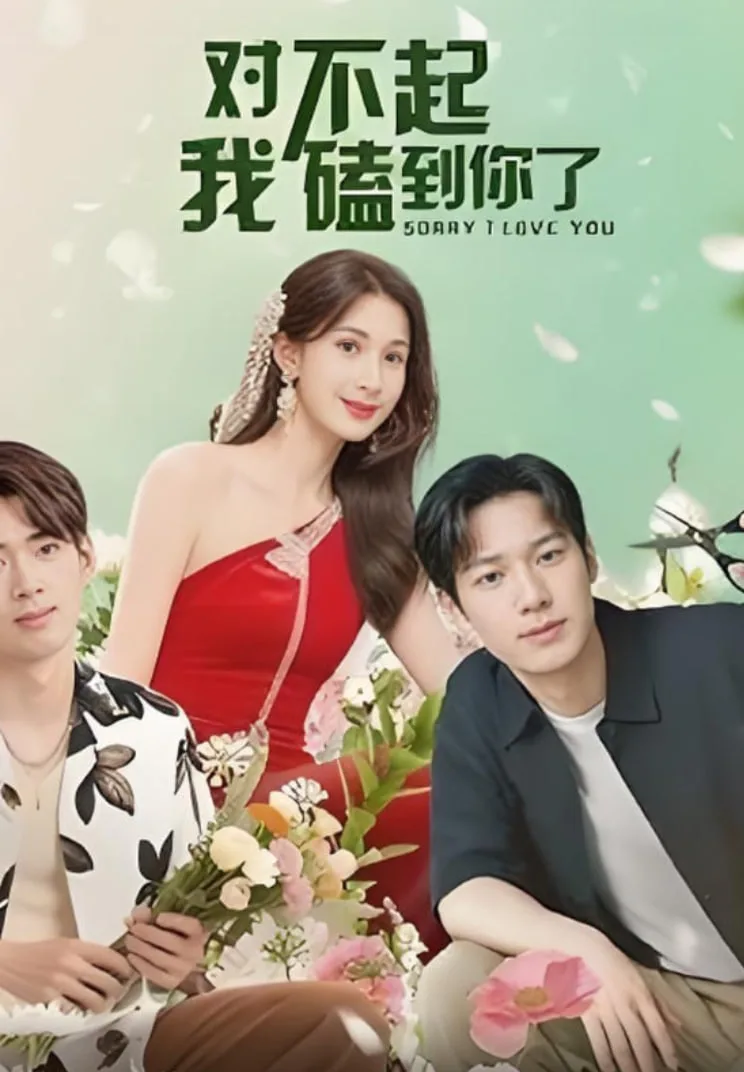 对不起我磕到你了海报