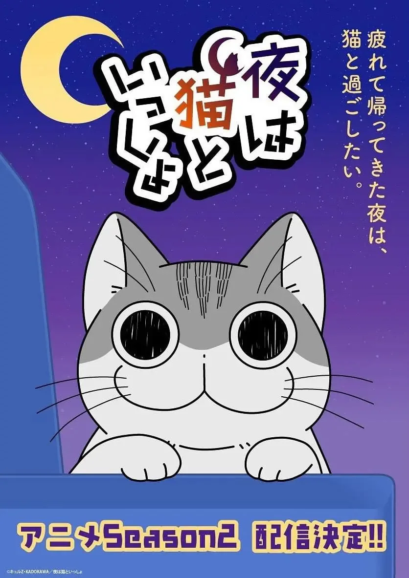 关于养猫我一直是新手 第二季海报