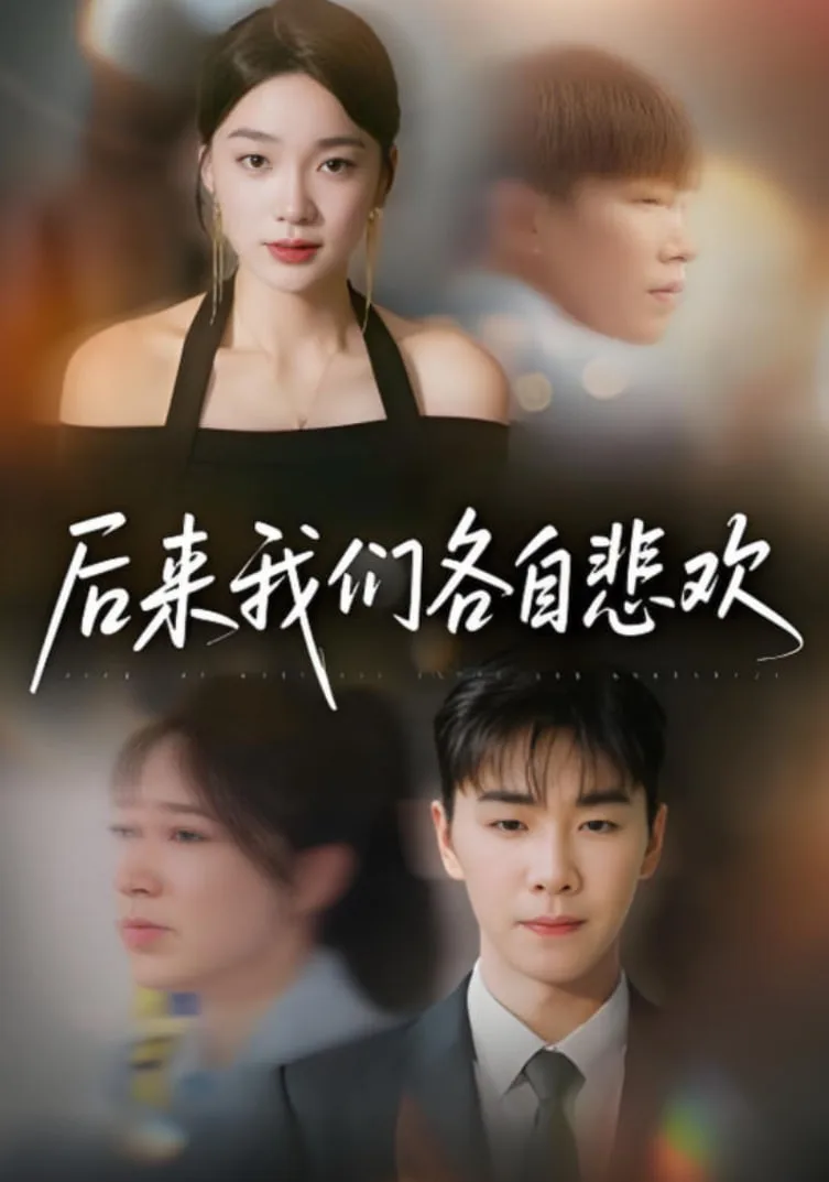 后来我们各自悲欢海报