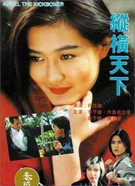 纵横天下海报