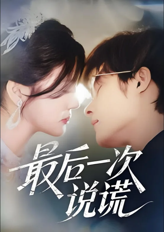 最后一次说谎海报