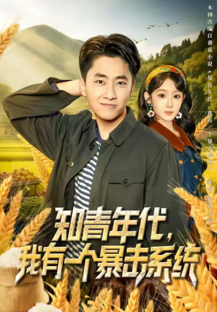 知青年代，我有一个暴击系统海报