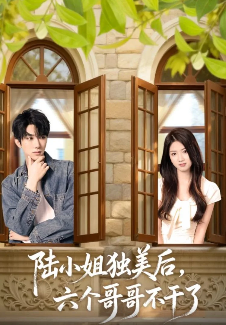 陆小姐独美后六个哥哥不干了海报