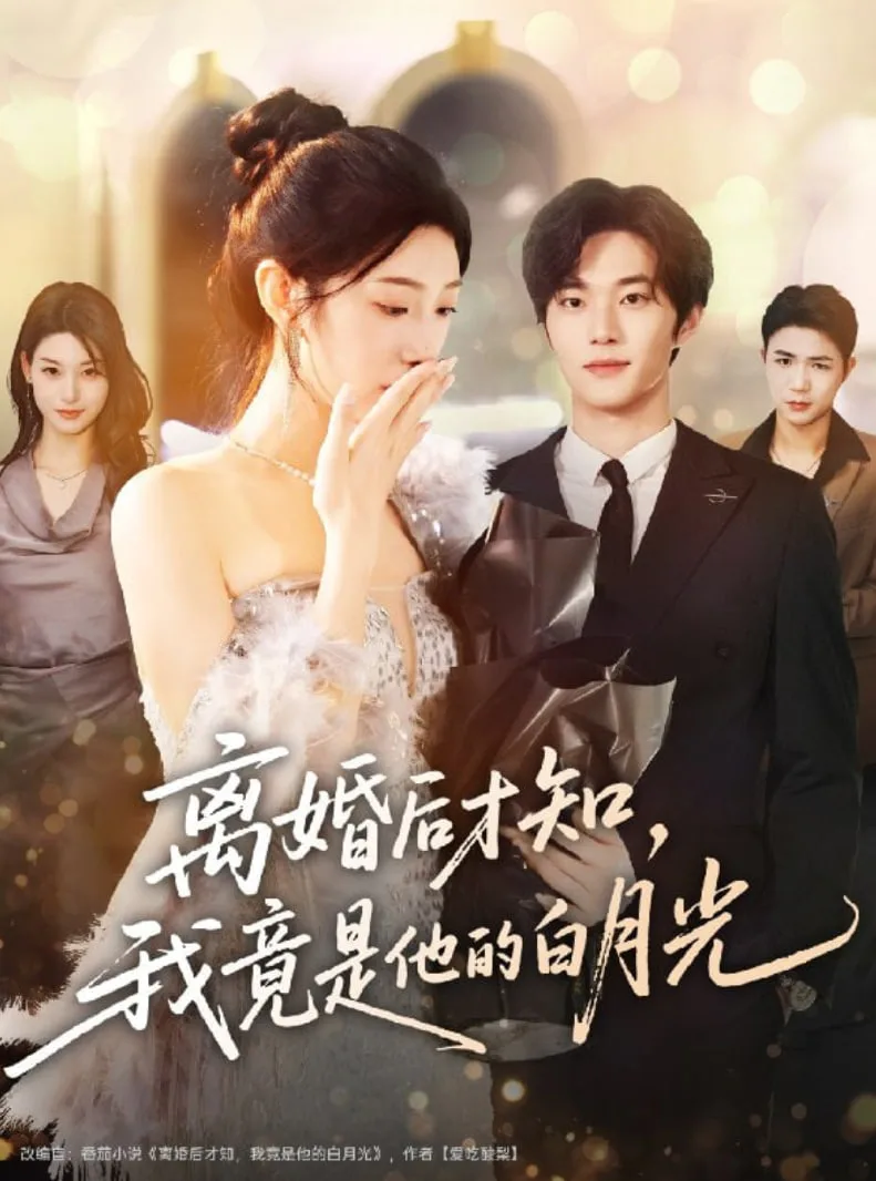 离婚后才知，我竟是他的白月光海报