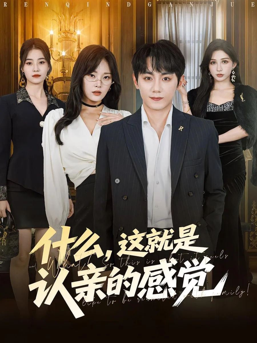 什么，这就是认亲的感觉（什么这就是认亲的感觉）海报