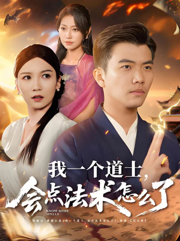 我一个道士会点法术怎么了海报